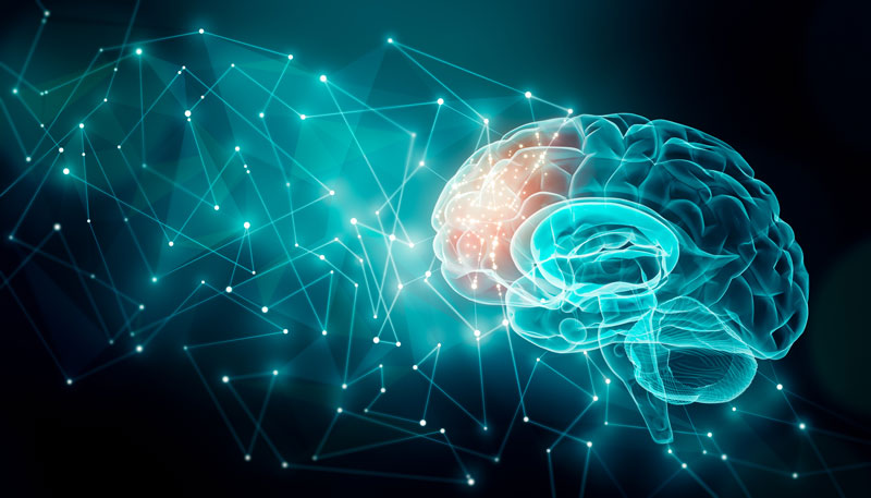 illustration of brain activity